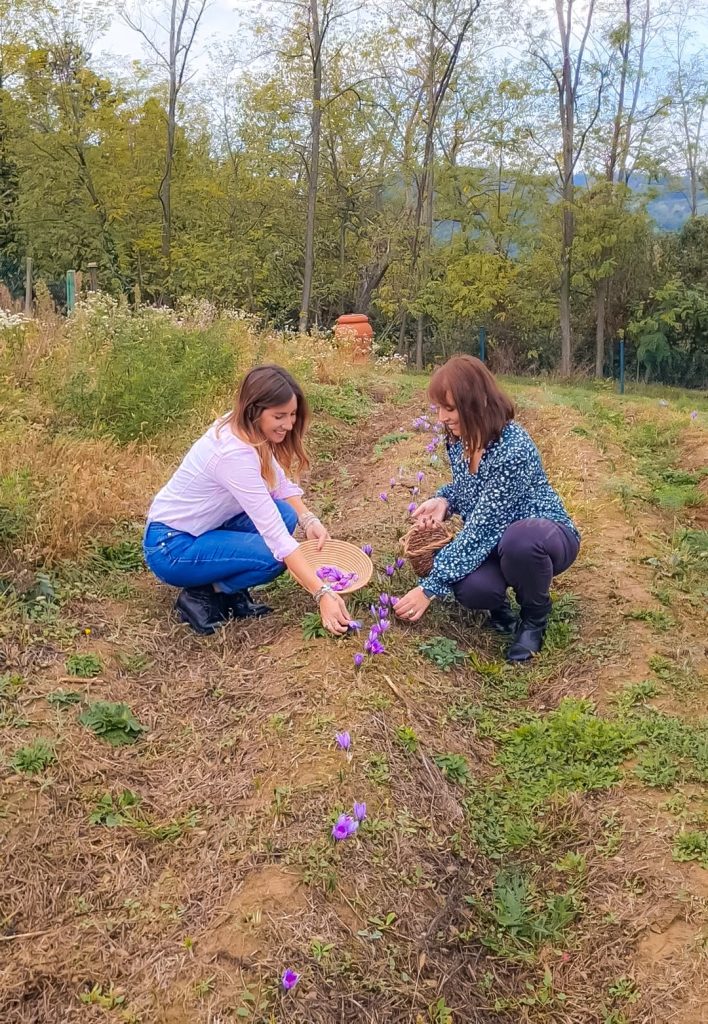 zafferano cascina sant'elena piemonte alloggi insoliti