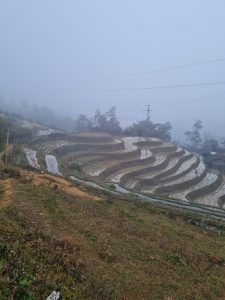 Sapa vietnam trekking 