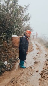 Sapa vietnam trekking 
