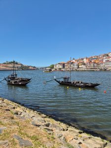 porto itinerario in viaggio con cip e ciop