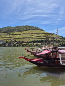 valle del douro portogallo getyourguide 