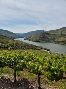 valle del douro portogallo getyourguide 