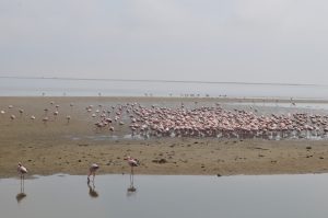 namibia