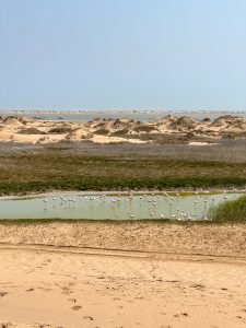 namibia