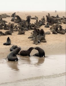 namibia