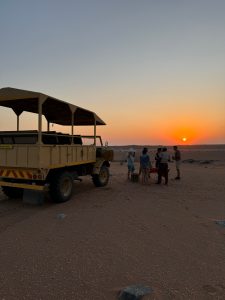 Namibia elefanti damaraland