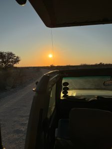 etosha national park