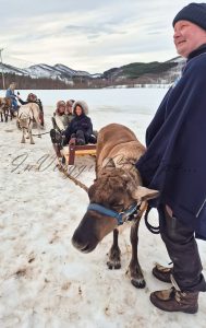 Tromsø ESCURSIONE RENNE
