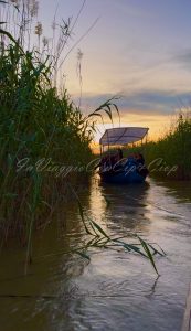 albufera
