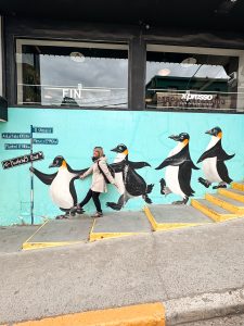 patagonia ushuaia