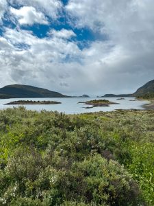 patagonia terra del fuoco
