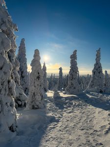 riisitunturi itinerario 4 giorni lapponia finlandese