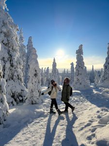 rovaniemi itinerario 4 giorni lapponia finlandese