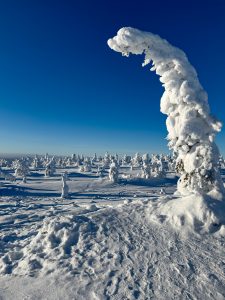 rovaniemi itinerario 4 giorni lapponia finlandese