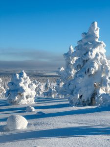 riisitunturi itinerario 4 giorni lapponia finlandese