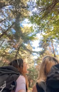 cammino di oropa itinerario in viaggio con cip e ciop