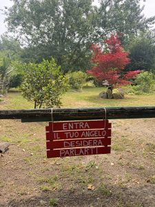 cammino di oropa itinerario in viaggio con cip e ciop